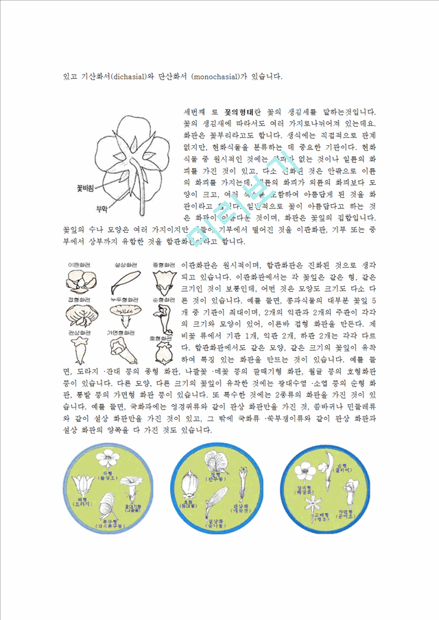 관상식물의 꽃구조 생활과원예   (4 페이지)